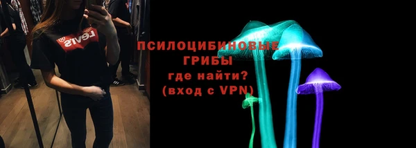 ГАЛЛЮЦИНОГЕННЫЕ ГРИБЫ Карталы