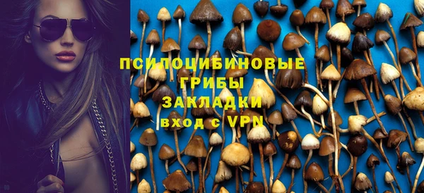 ГАЛЛЮЦИНОГЕННЫЕ ГРИБЫ Карталы