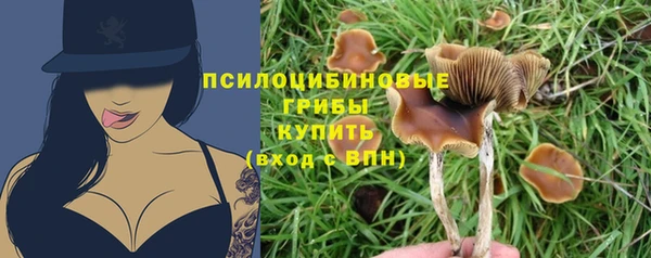 mdpv Карпинск