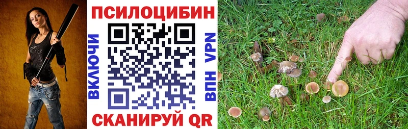 Купить где  Мантурово  Псилоцибиновые грибы Psilocybine cubensis 